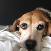 kategirouard_